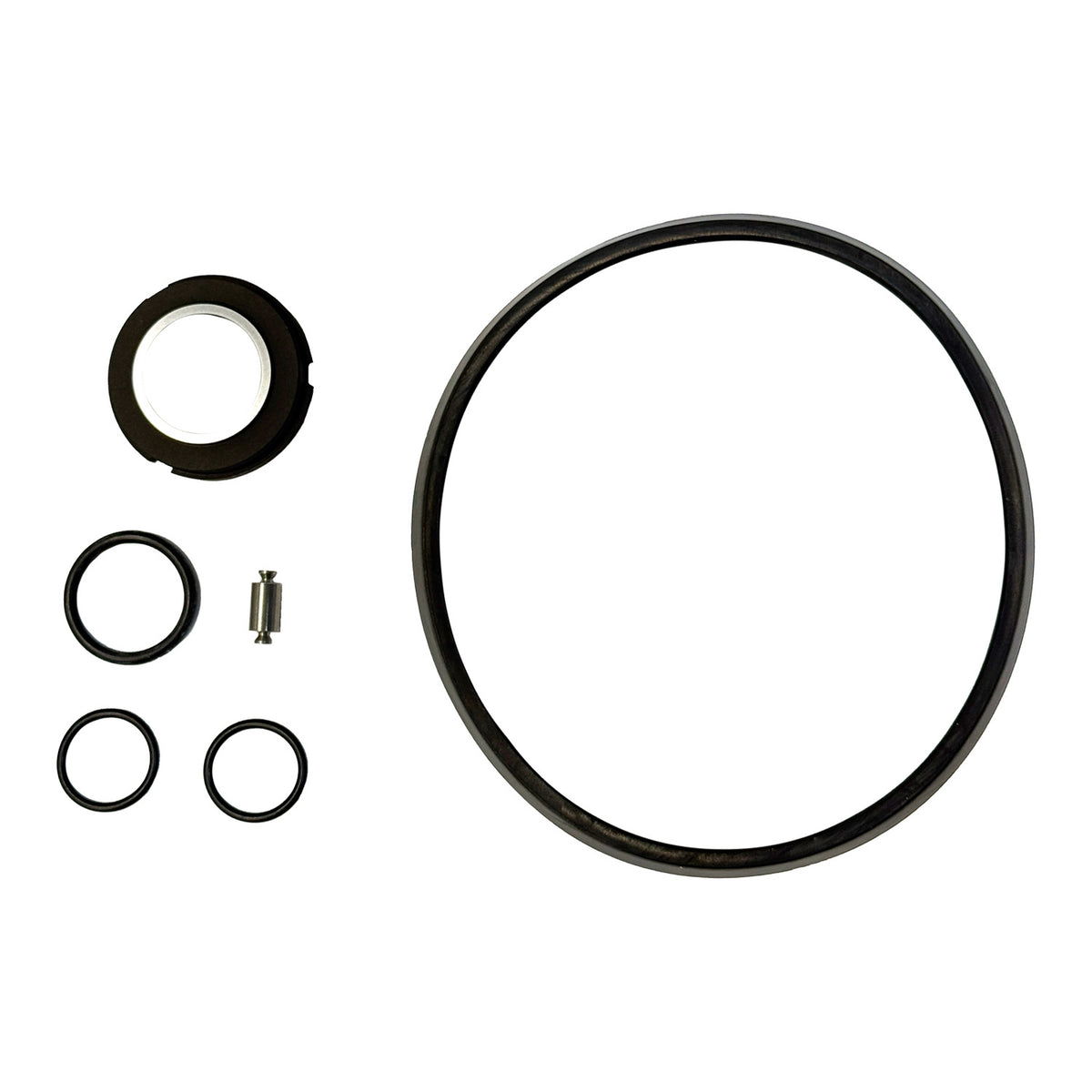 SPX Seal and Elastomer Kit, C216