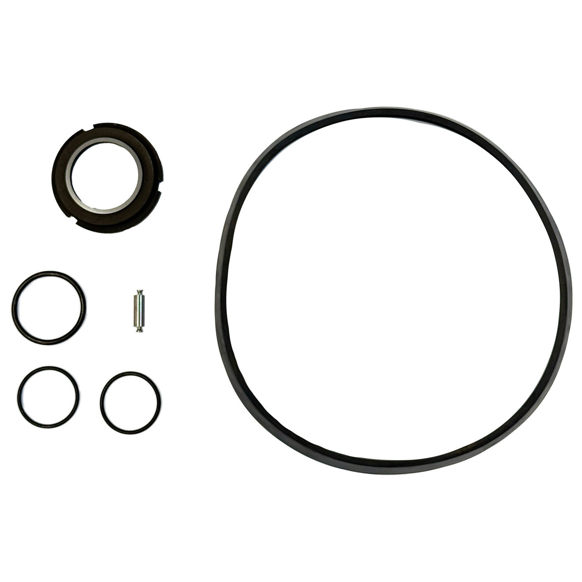 SPX Seal and Elastomer Kit, C218/C328