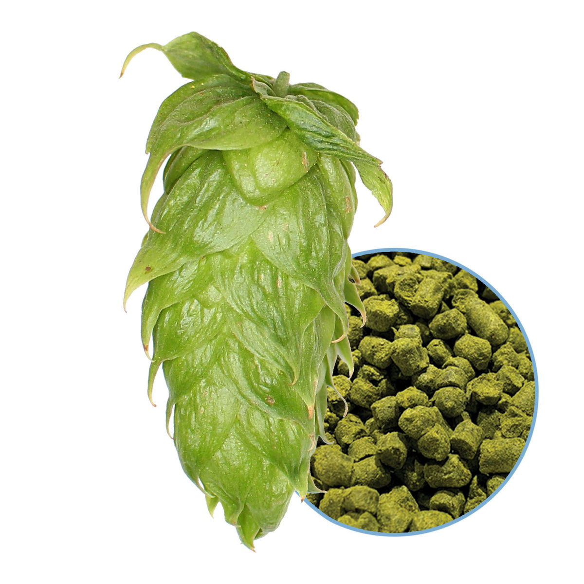 Calypso Hop Pellets