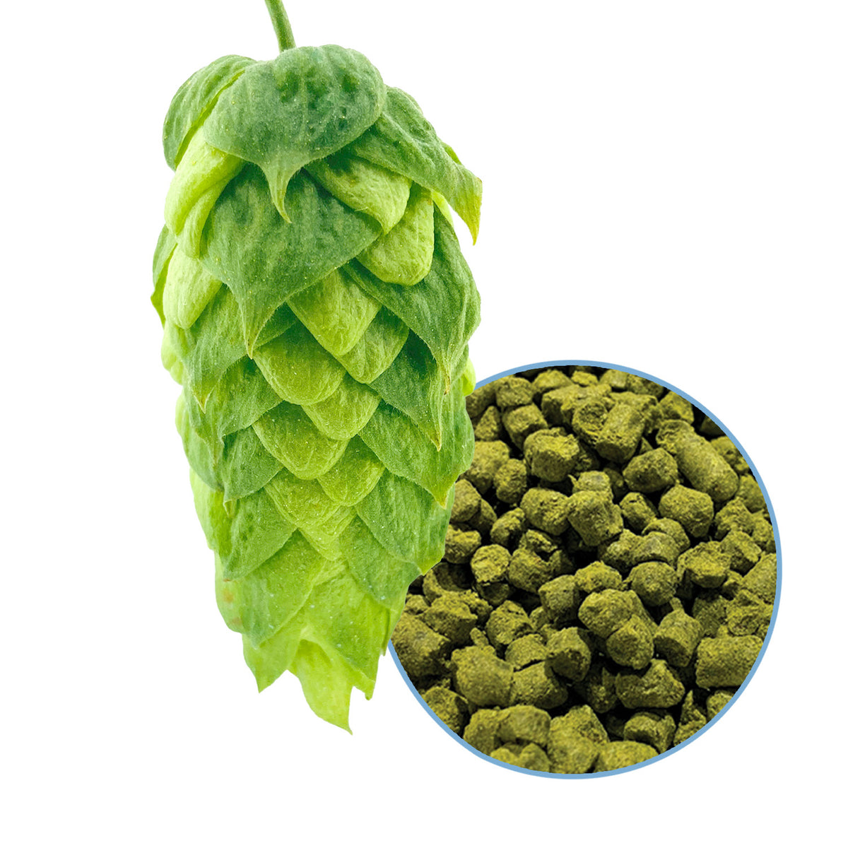 Helios Hop Pellets